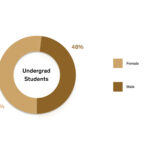 Gender distribution among undergraduate students showing 52% female and 48% male