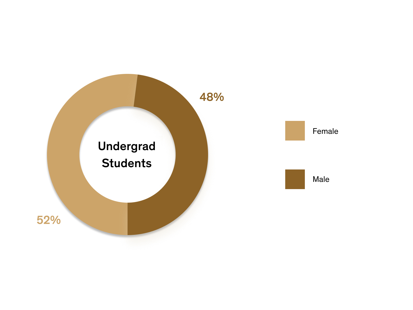 Gender distribution among undergraduate students showing 52% female and 48% male