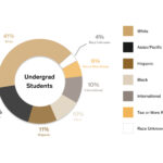 Race and ethnicity distribution among undergraduate students showing 41% white, 18% Asian, 11% Hispanic, 10% Black, 10% international, 6% two or more races and 4% race unknown