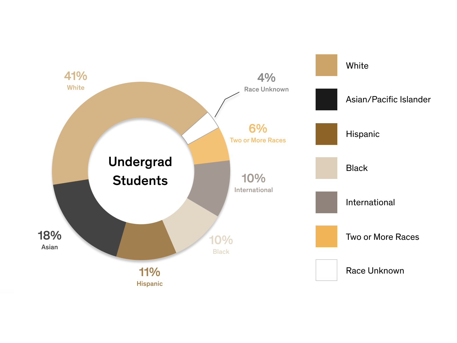 Race and ethnicity distribution among undergraduate students showing 41% white, 18% Asian, 11% Hispanic, 10% Black, 10% international, 6% two or more races and 4% race unknown